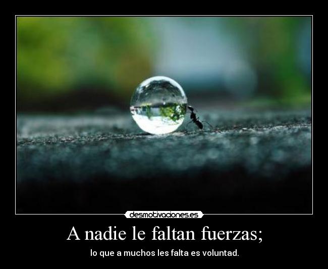 A nadie le faltan fuerzas; - 