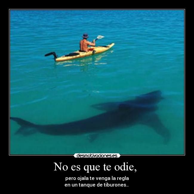 carteles lucialocaderemate desmotivaciones