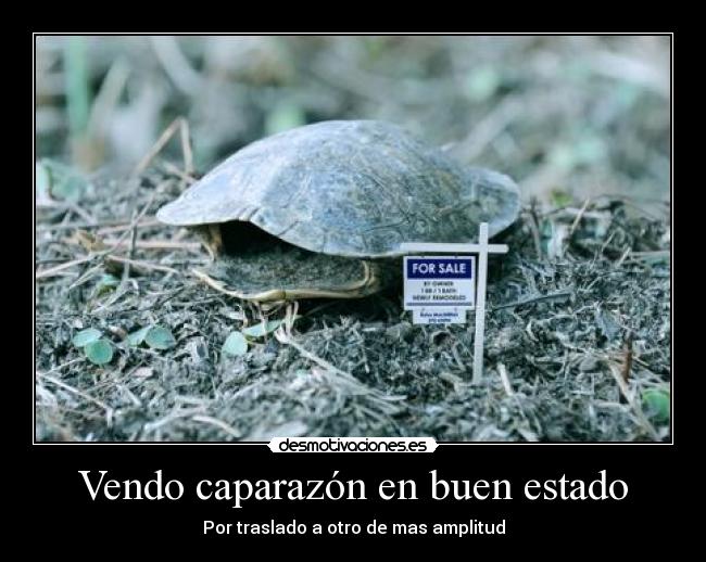 Vendo caparazón en buen estado - Por traslado a otro de mas amplitud