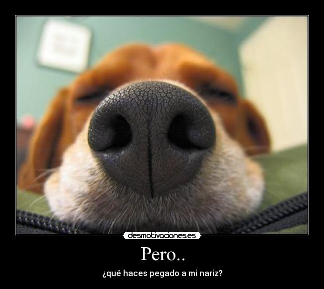 Pero.. - 
