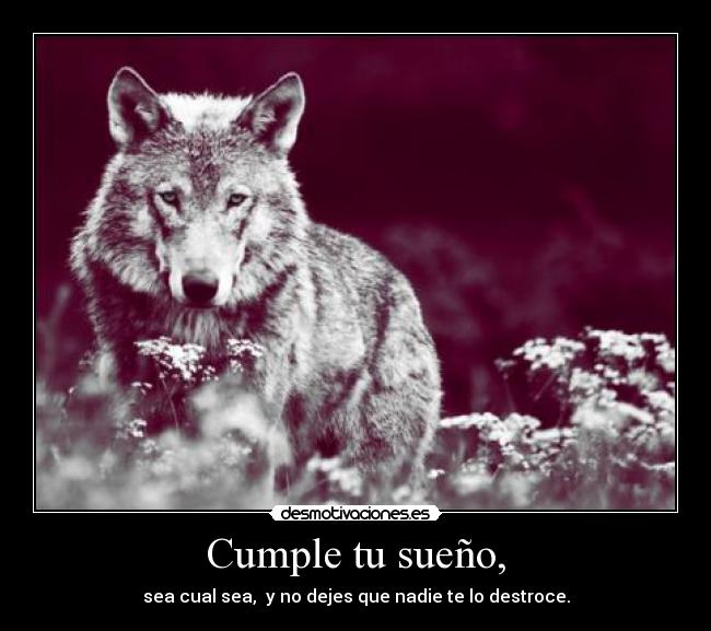 Cumple tu sueño, - sea cual sea,  y no dejes que nadie te lo destroce.