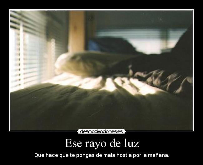 carteles asqueroso desmotivaciones