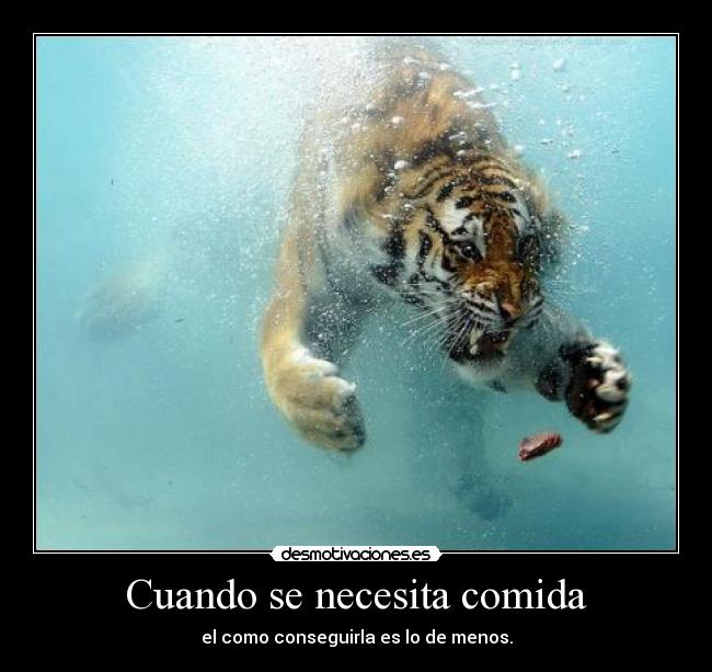 Cuando se necesita comida - el como conseguirla es lo de menos.