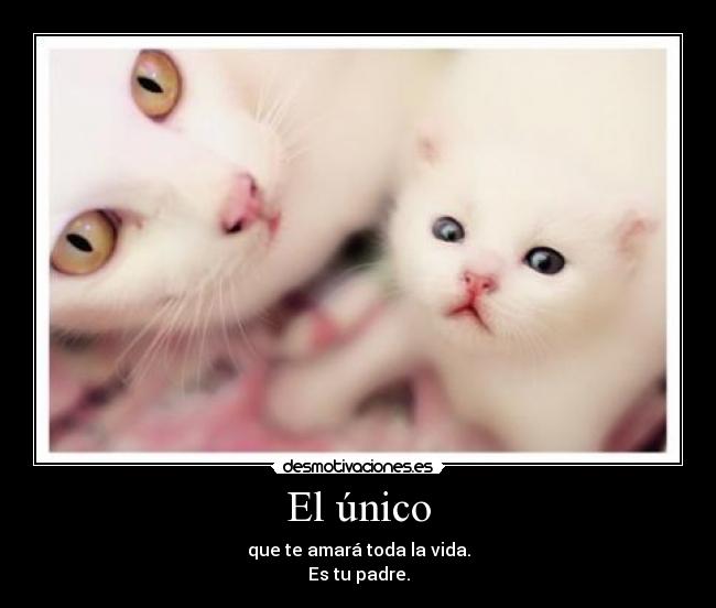 El único - que te amará toda la vida.
Es tu padre.