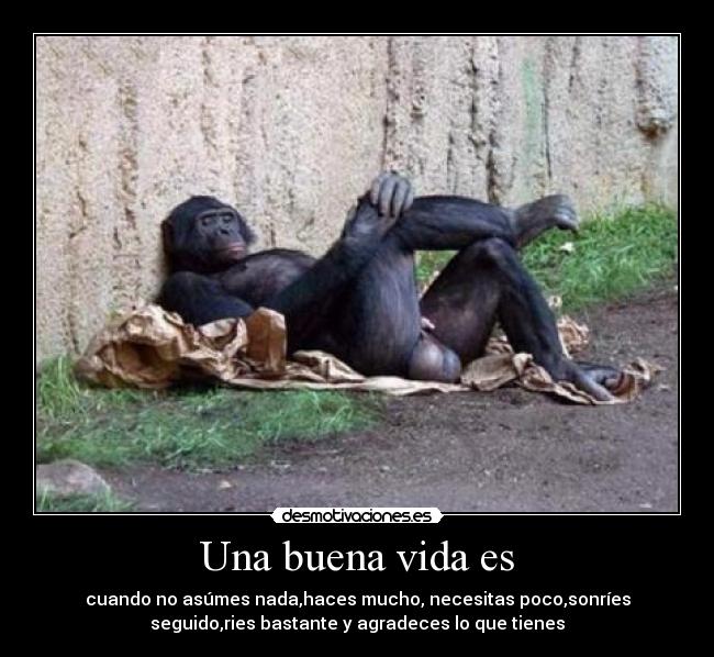 Una buena vida es - cuando no asúmes nada,haces mucho, necesitas poco,sonríes
seguido,ries bastante y agradeces lo que tienes