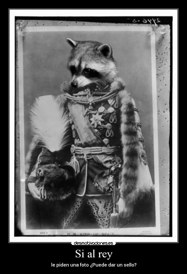 Si al rey -