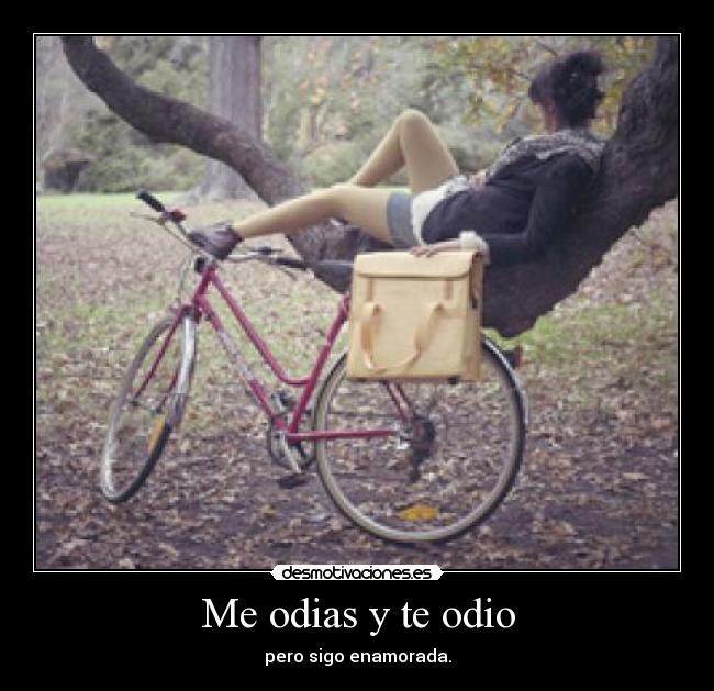 Me odias y te odio - pero sigo enamorada.