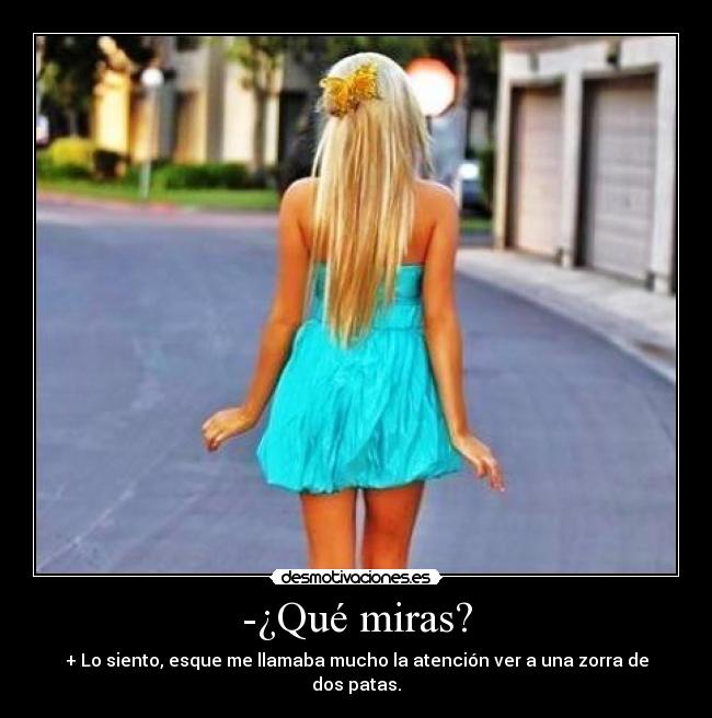 -¿Qué miras? - 