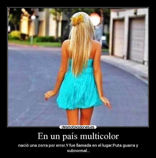 En un país multicolor - 