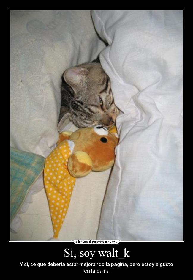 carteles walt mejoras promesas vacias headtequiero headteamo desmotivaciones