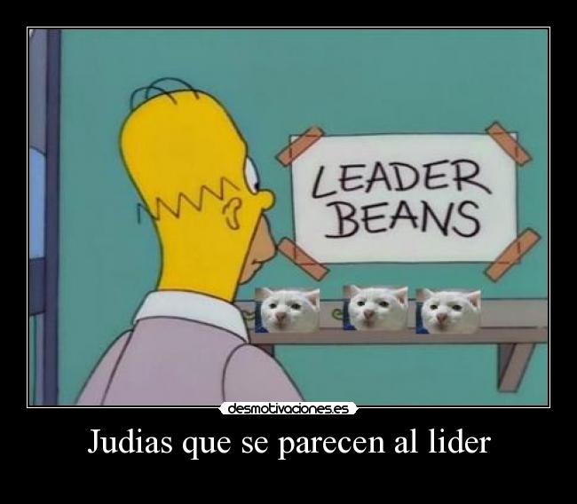 Judias que se parecen al lider -