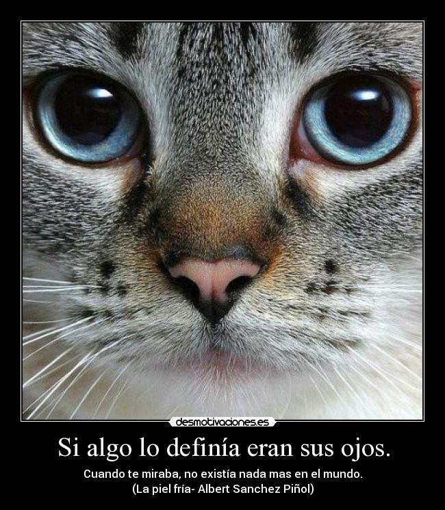 carteles edelweis alucinada con mirada tan profunda intensa desmotivaciones