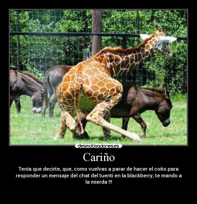 Cariño - Tenía que decirte, que, como vuelvas a parar de hacer el coito para
responder un mensaje del chat del tuenti en la blackberry, te mando a
la mierda !!!

