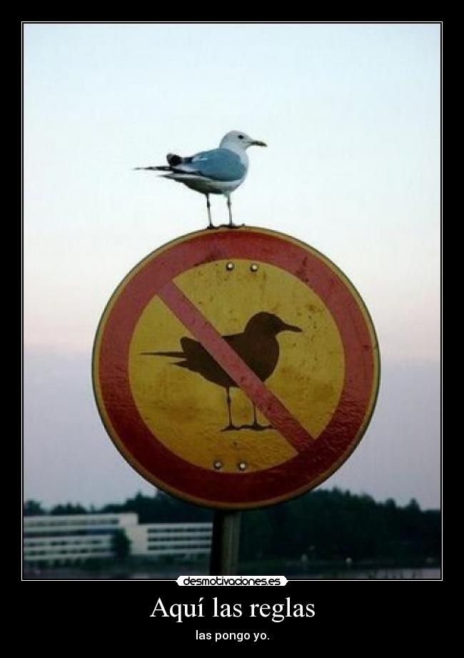Aquí las reglas -
