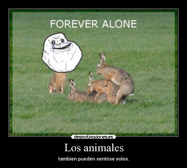 Los animales - 