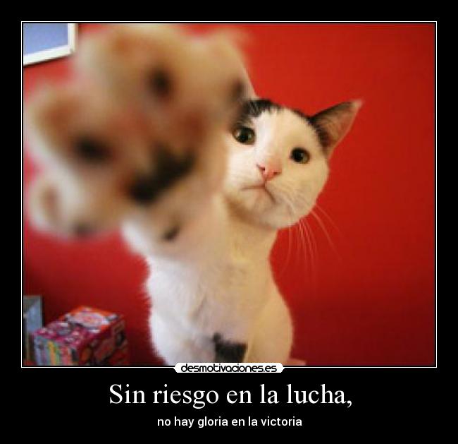 Sin riesgo en la lucha, - no hay gloria en la victoria