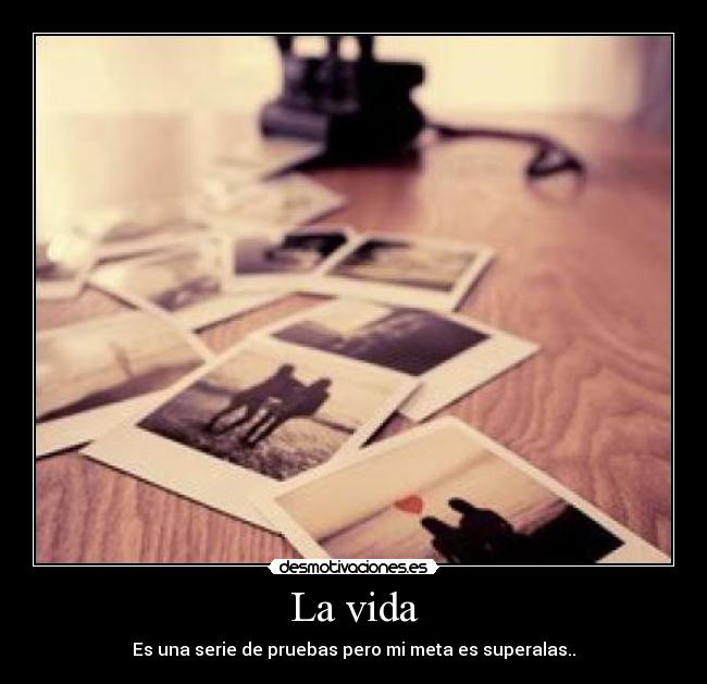 La vida -