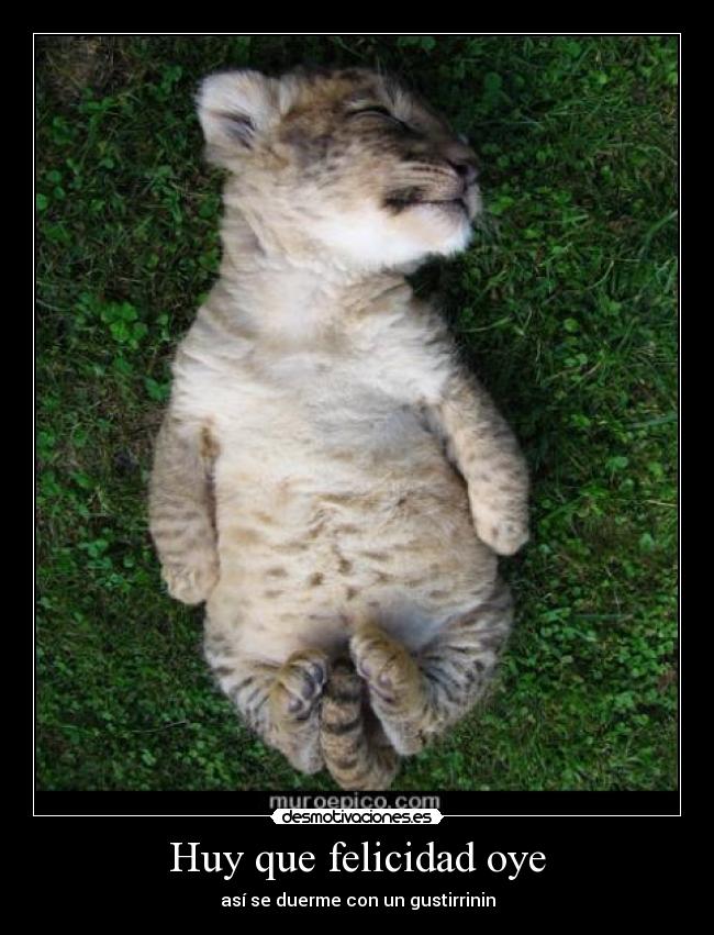 Huy que felicidad oye -