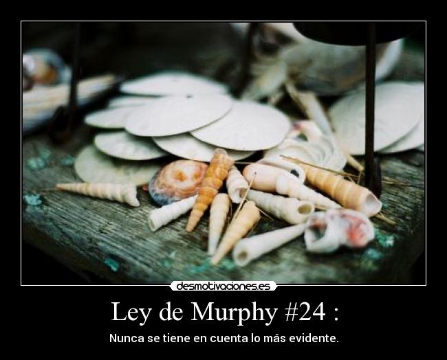 Ley de Murphy #24 : -