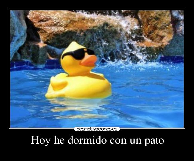 carteles pillais sois tontos - tifani9 desmotivaciones