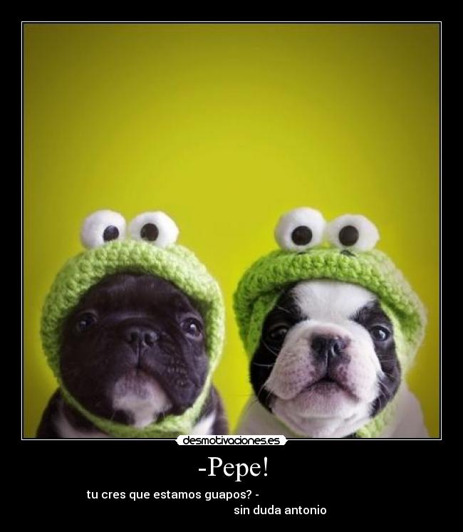 -Pepe! - tu cres que estamos guapos? -
sin duda antonio