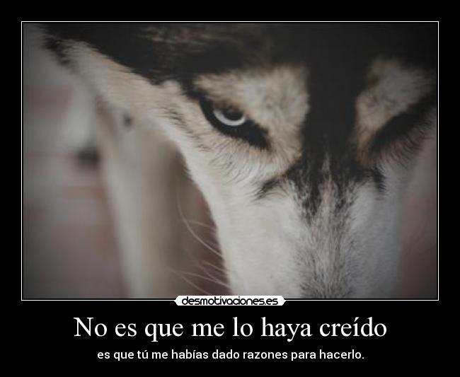 No es que me lo haya creído -