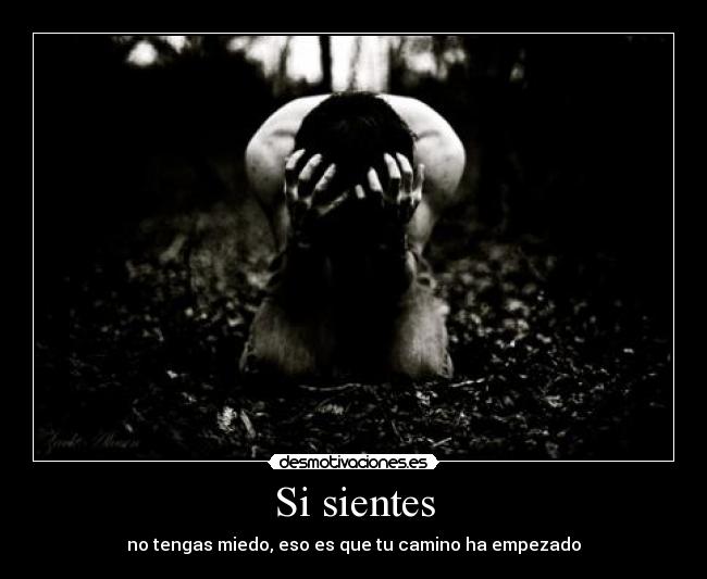 carteles luchar luchar luchar desmotivaciones