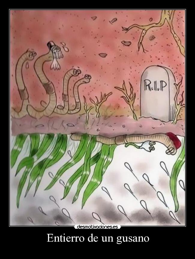 Entierro de un gusano -