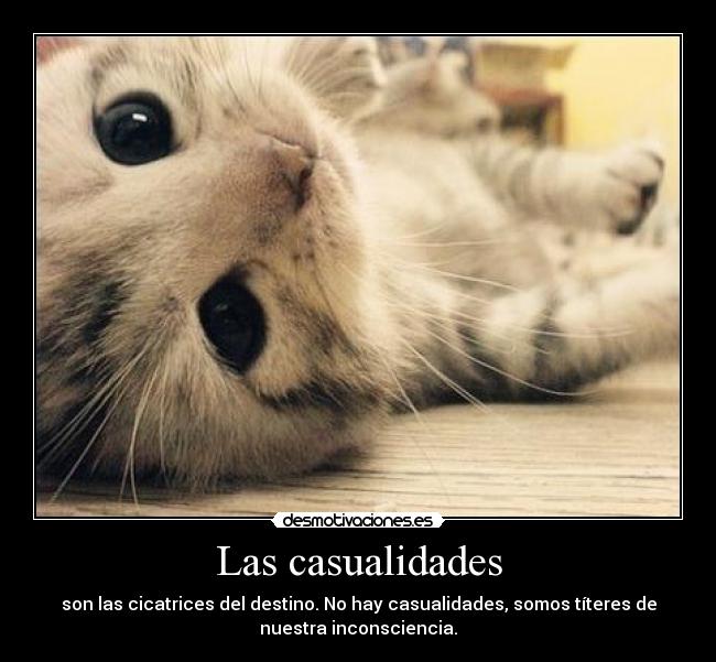 Las casualidades - son las cicatrices del destino. No hay casualidades, somos títeres de
nuestra inconsciencia.