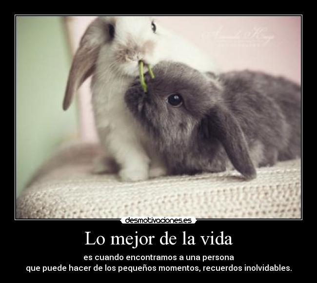 Lo mejor de la vida -