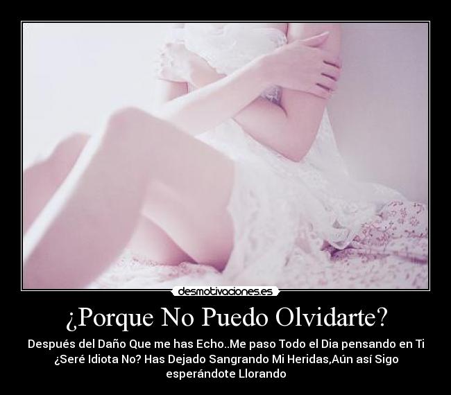 ¿Porque No Puedo Olvidarte? - 