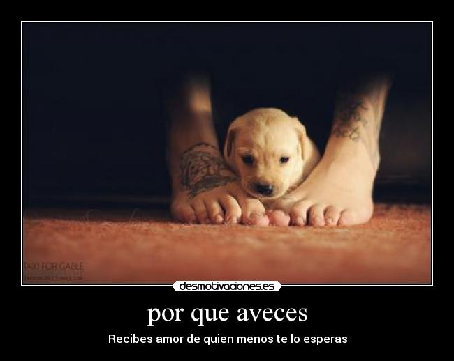 por que aveces - Recibes amor de quien menos te lo esperas