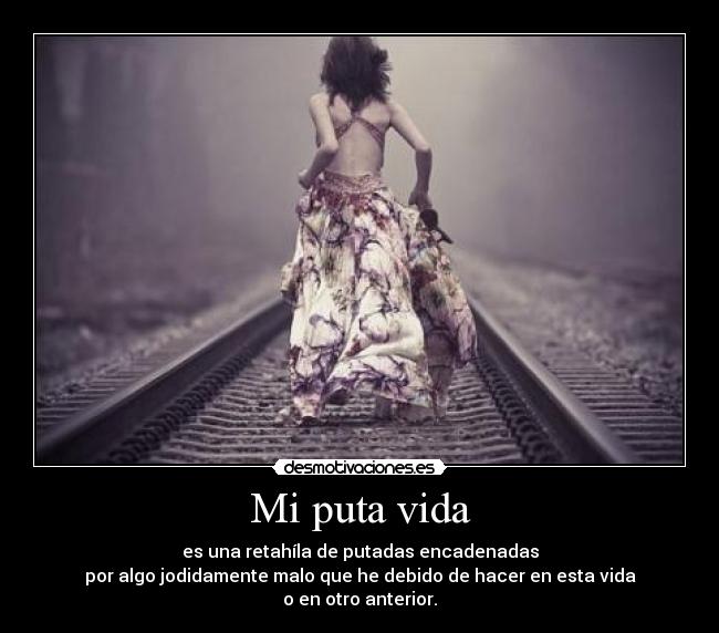 Mi puta vida -