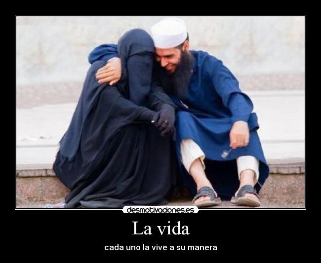 carteles vida vida desmotivaciones