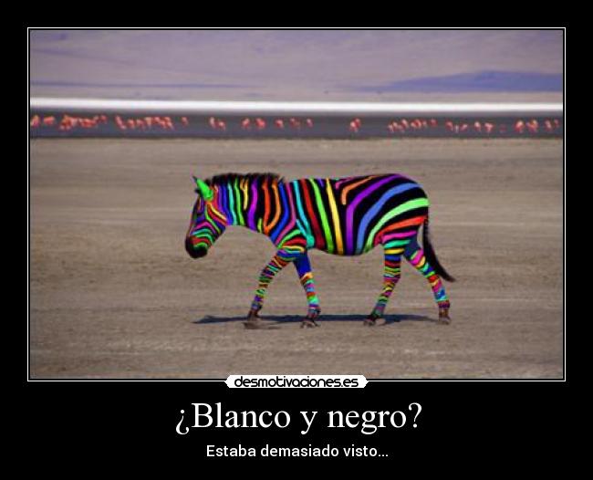 ¿Blanco y negro? -