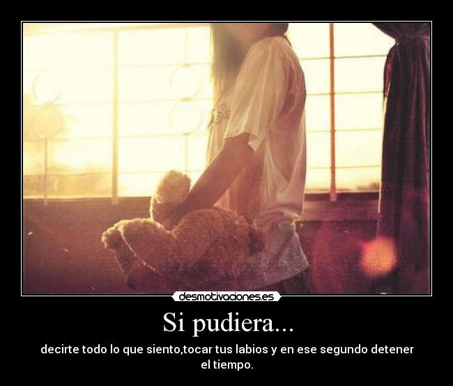 Si pudiera... - decirte todo lo que siento,tocar tus labios y en ese segundo detener el tiempo.