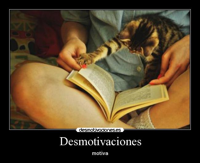Desmotivaciones - 