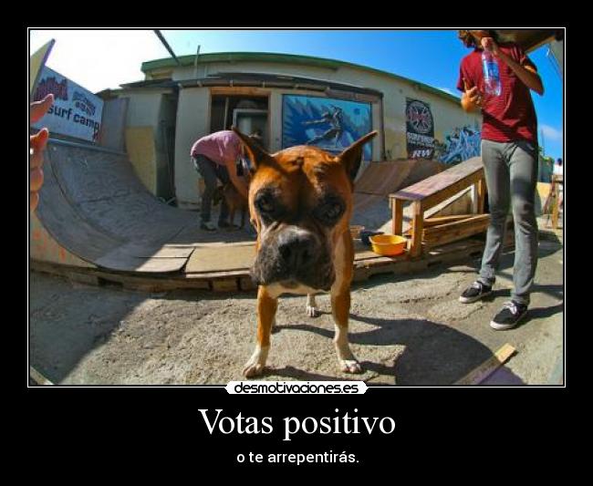 Votas positivo - o te arrepentirás.