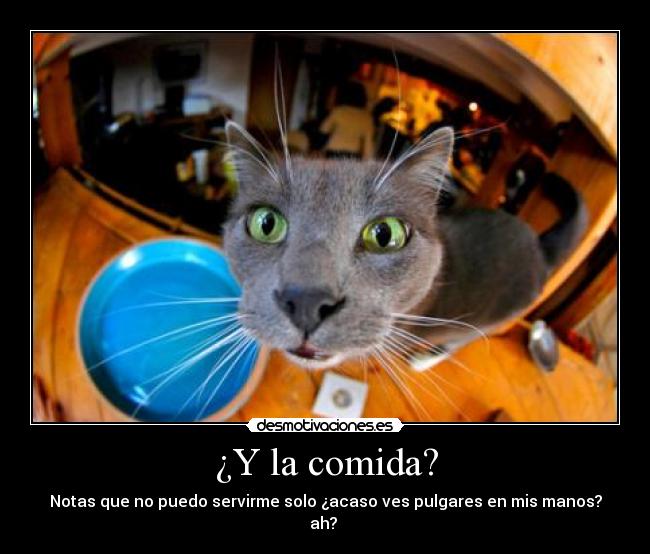 ¿Y la comida? - Notas que no puedo servirme solo ¿acaso ves pulgares en mis manos? ah?