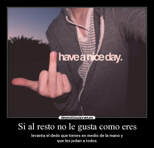 Si al resto no le gusta como eres - levanta el dedo que tienes en medio de la mano y
que les jodan a todos.
