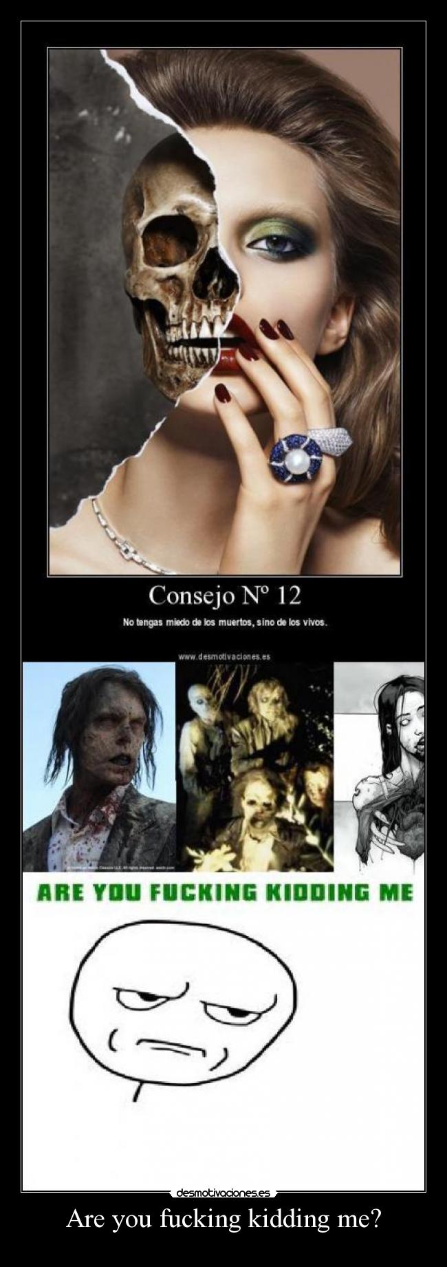 Are you fucking kidding me? - 