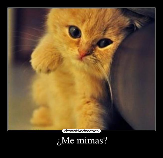 ¿Me mimas? - 