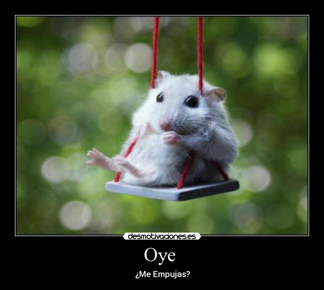 Oye -