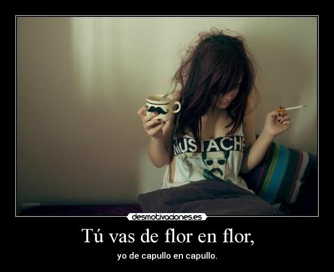 Tú vas de flor en flor, - 