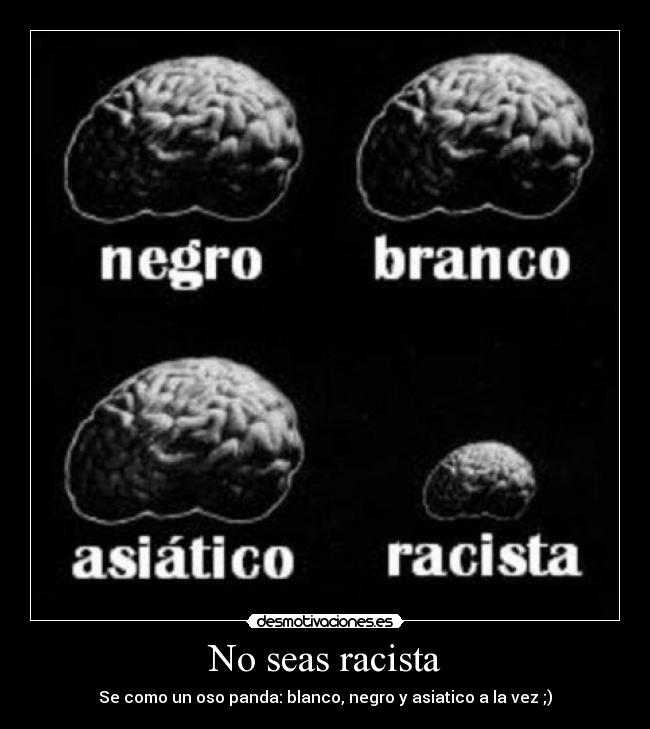 No seas racista - Se como un oso panda: blanco, negro y asiatico a la vez ;)