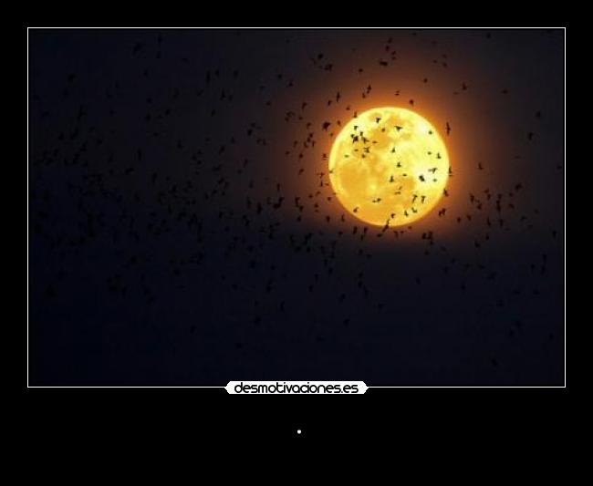 carteles atardecer desmotivaciones