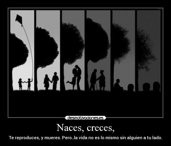 Naces, creces, - Te reproduces, y mueres. Pero..la vida no es lo mismo sin alguien a tu lado.