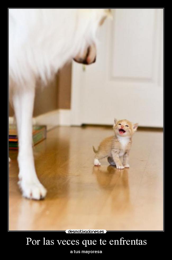 Por las veces que te enfrentas - a tus mayoresa
