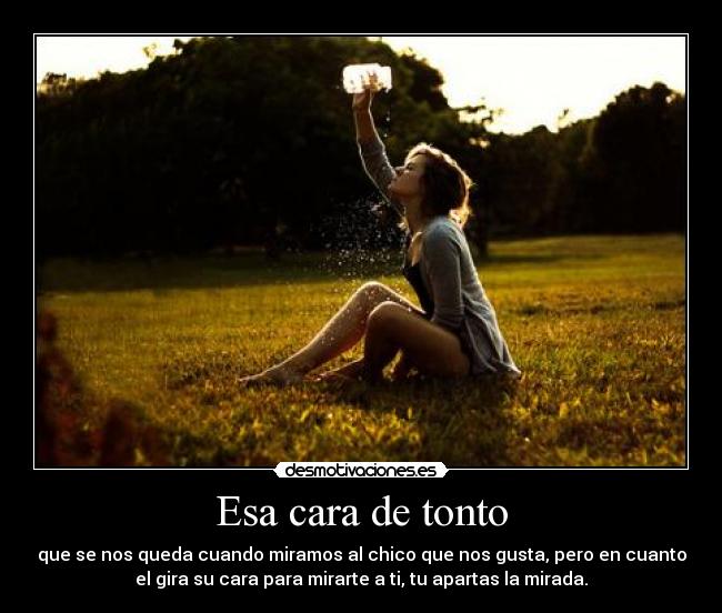 carteles tonto paulatinamente desmotivaciones