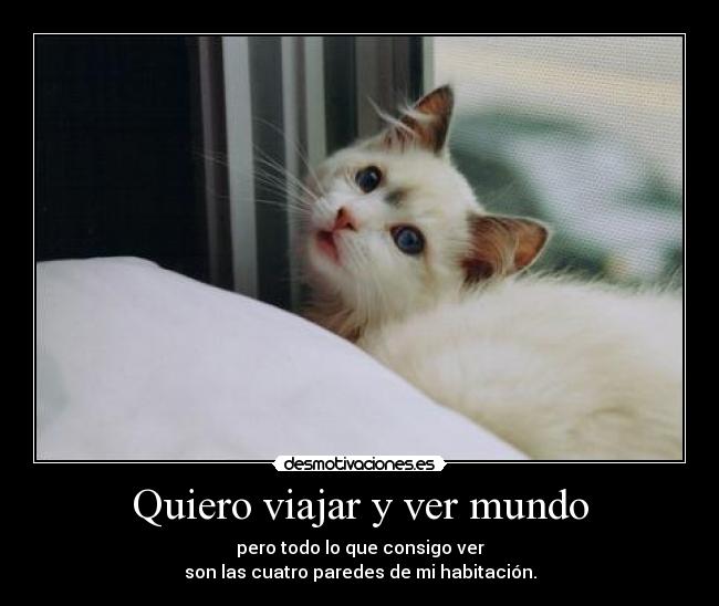 Quiero viajar y ver mundo - 